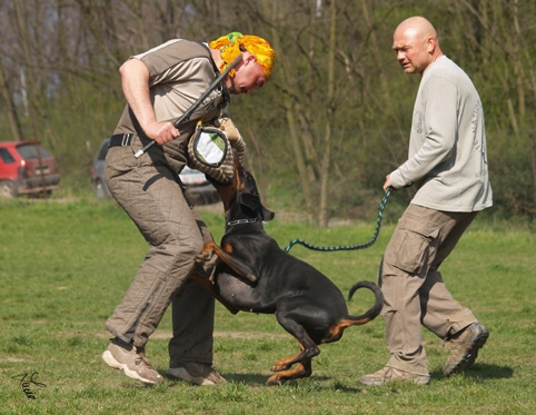 Training 4. 4. 2007